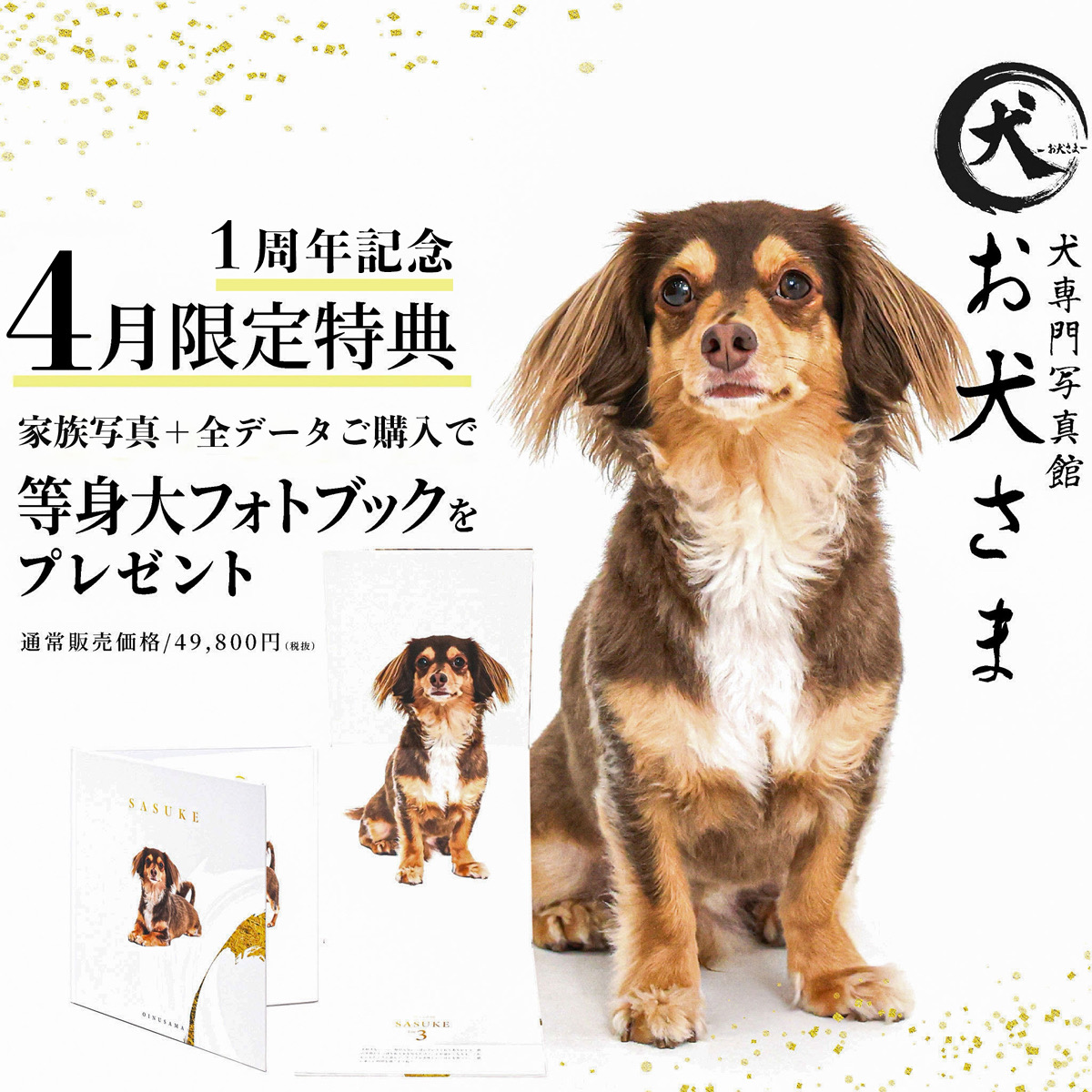 1周年記念 4月限定 家族写真+全データ購入で等身大フォトブックをプレゼント